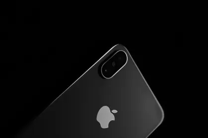 Casino King Crab App Mobile